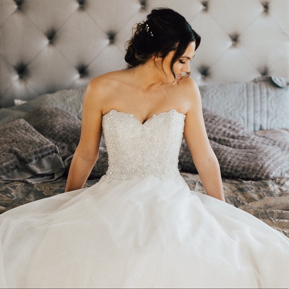 Meet your Posher, Lindseu - Picture 1 of 1